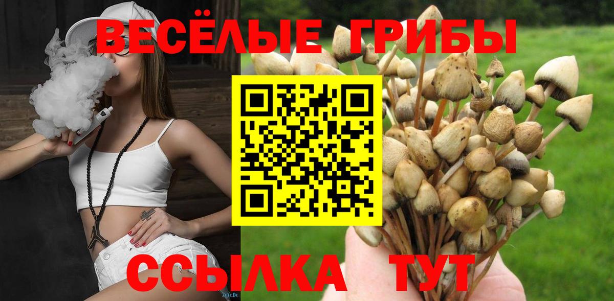 Галлюциногенные грибы мухоморы Людиново