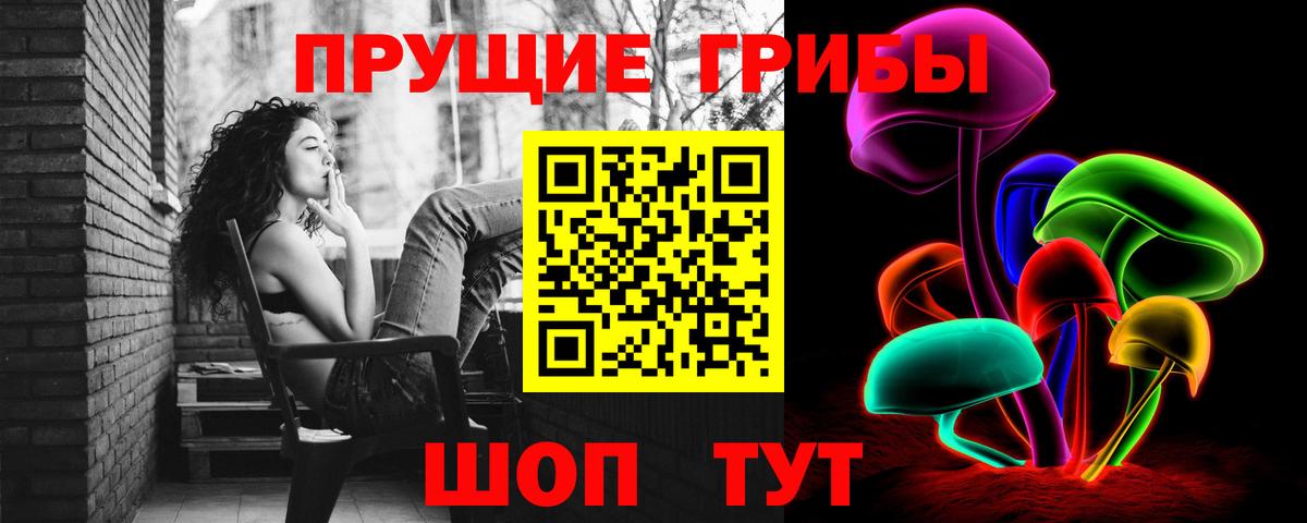 Людиново  Псилоцибиновые грибы GOLDEN TEACHER  продажа наркотиков  Вход с VPN 